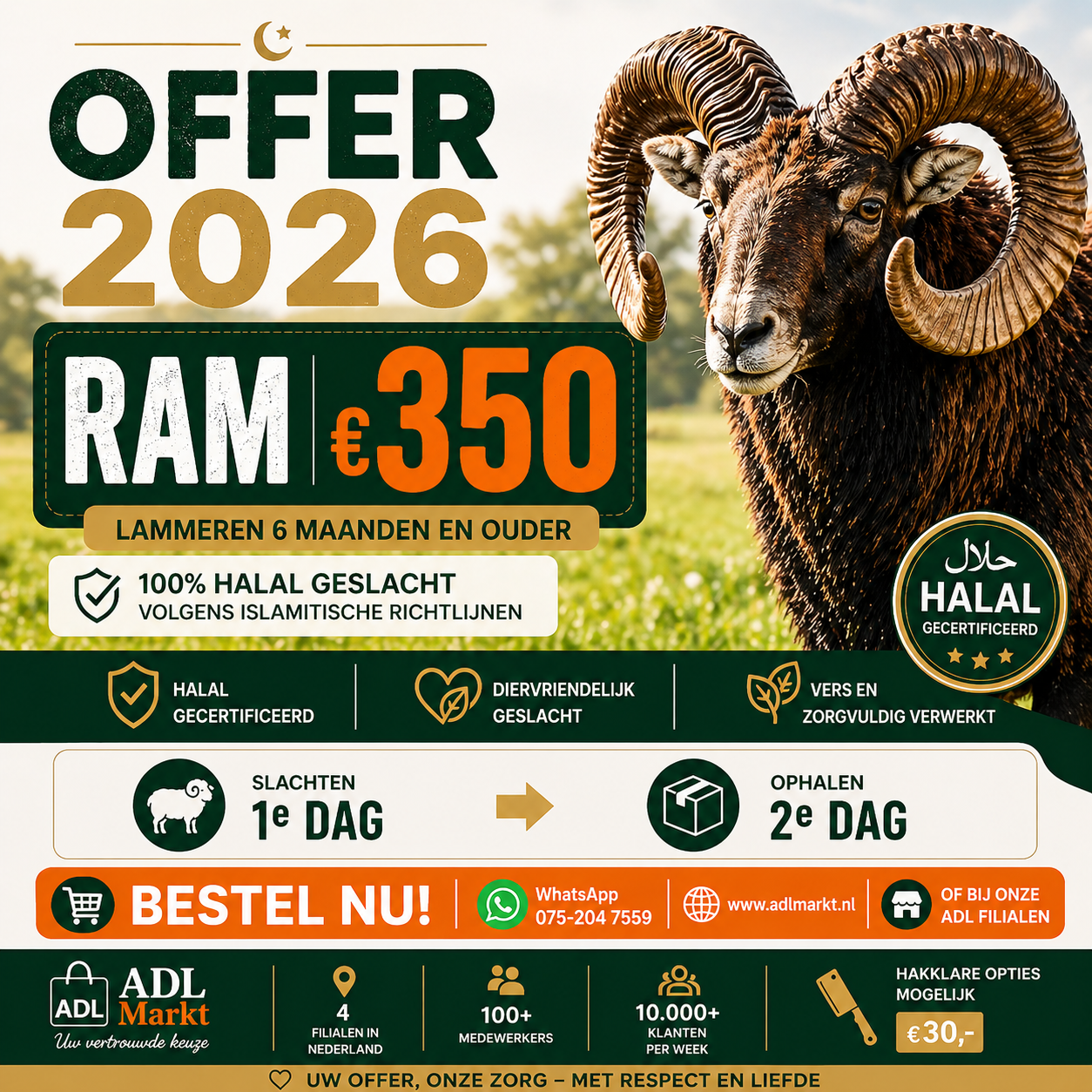 Offer - 2026 2e dag