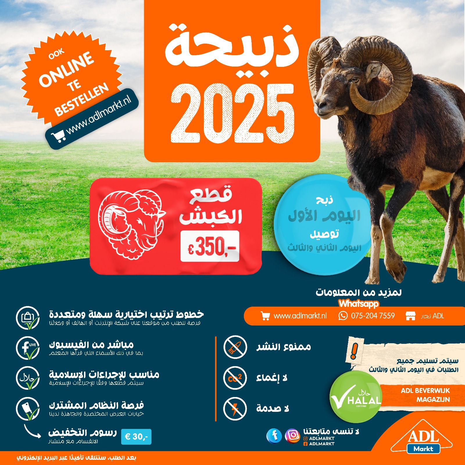 2025 - ضحى
