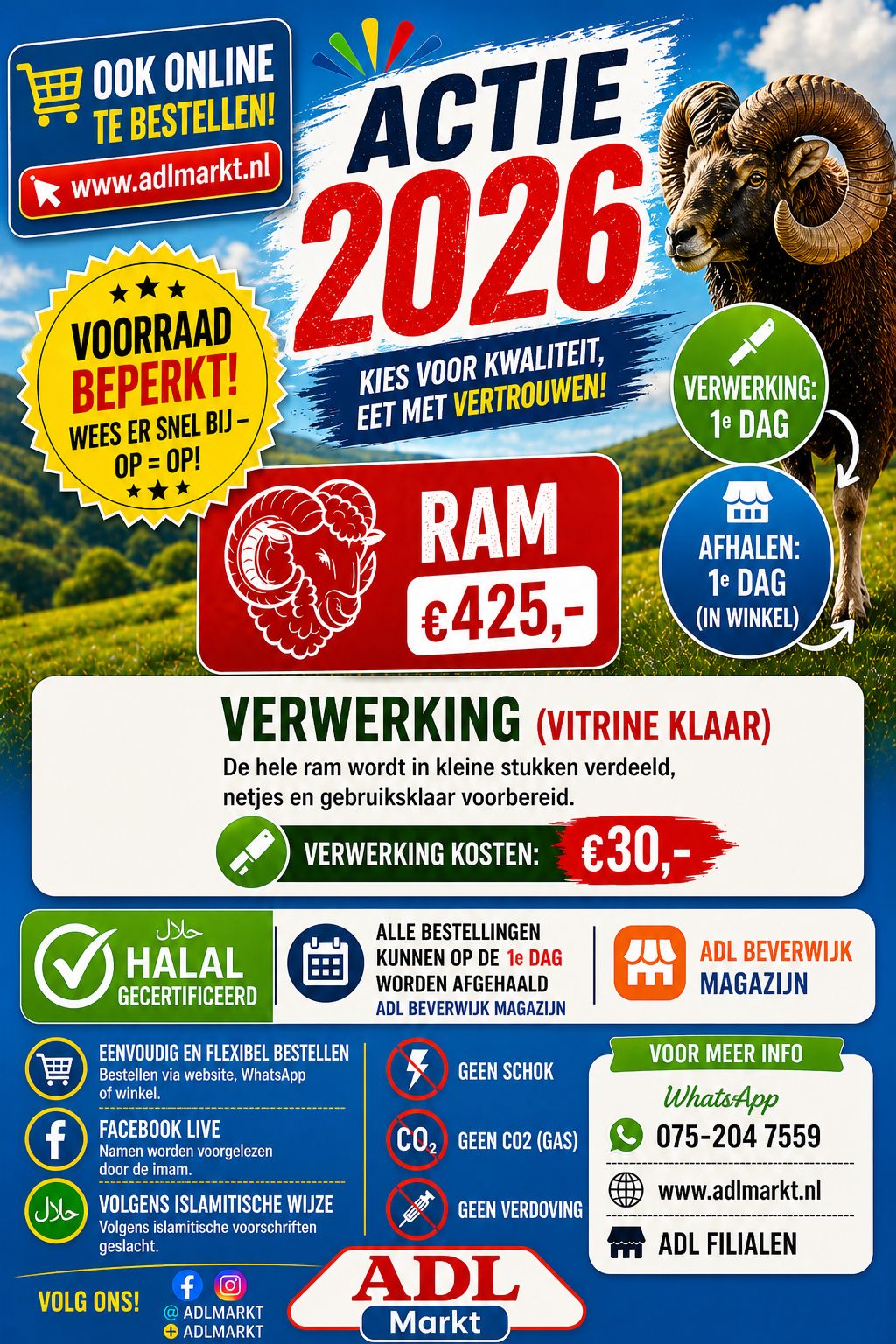 Offer - 2026 1e dag